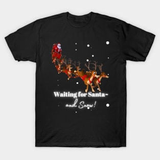 WAITING FOR SANTA…AND SNOW! T-Shirt